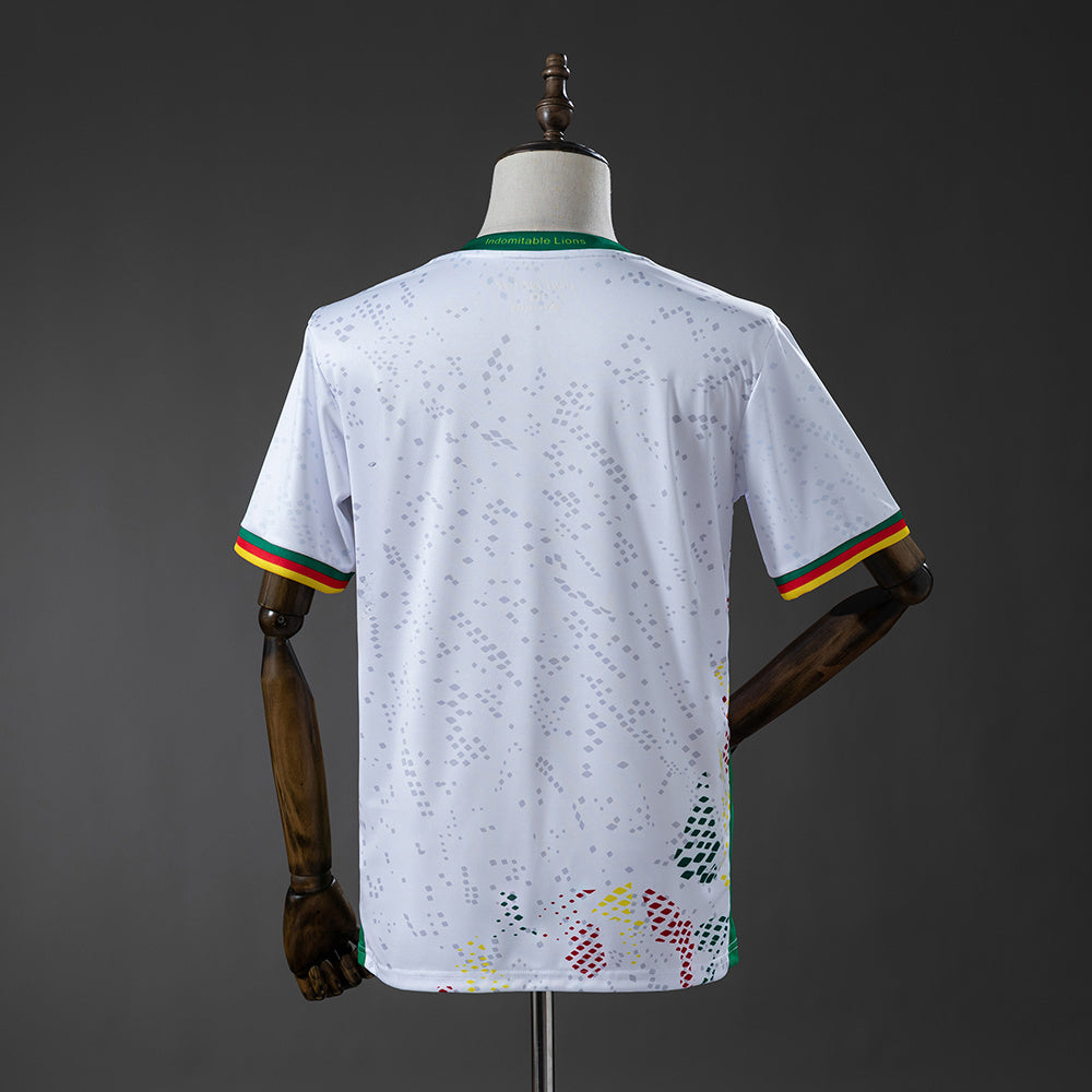 Cameroun extérieur 26/27 version Fan