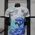 MAILLOT BRÉSIL CONCEPT