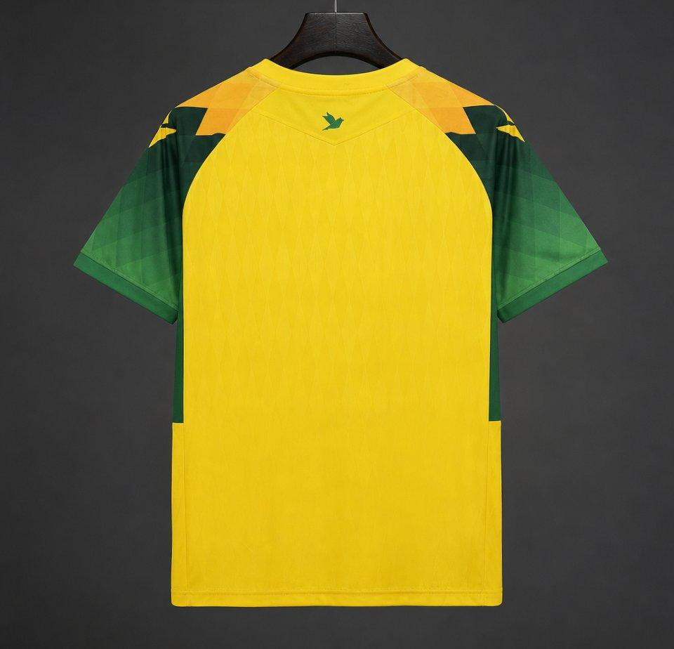 FC Nantes Domicile 26/27 Version Fan