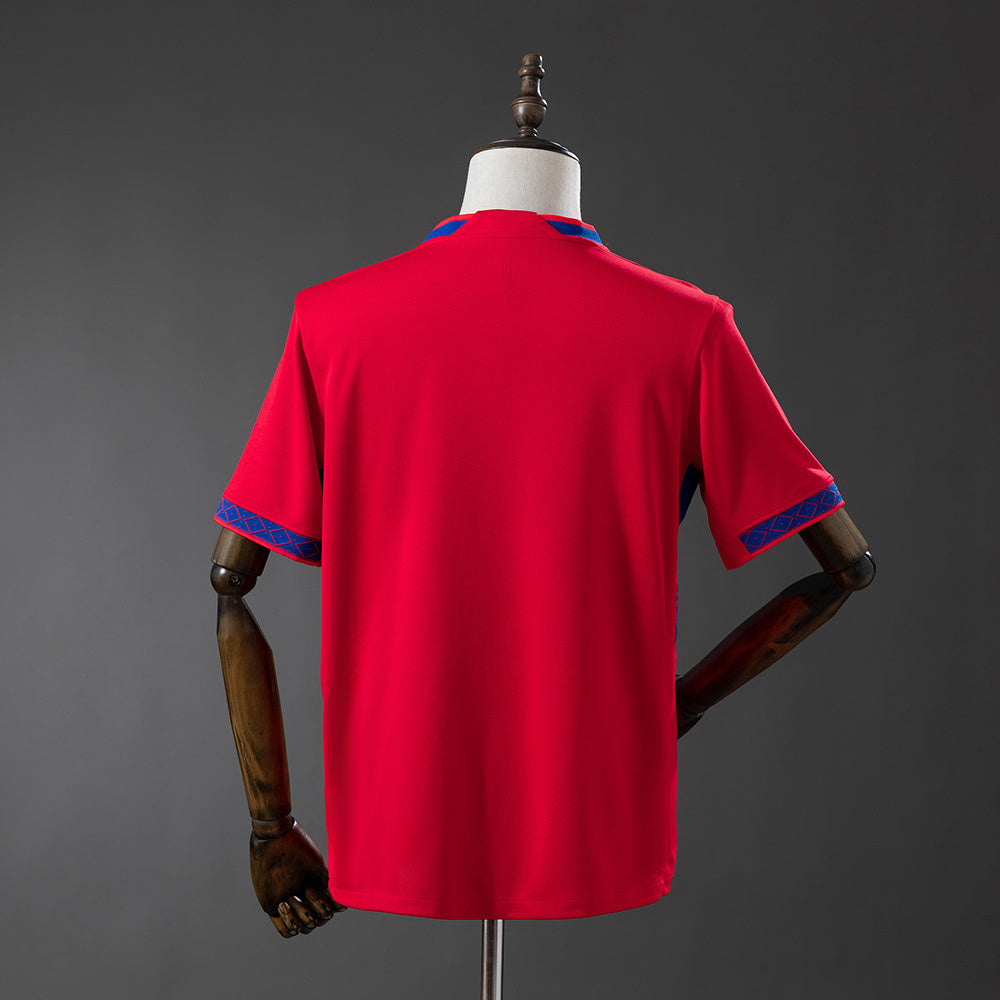 Norvège Domicile 2026 Version Fan