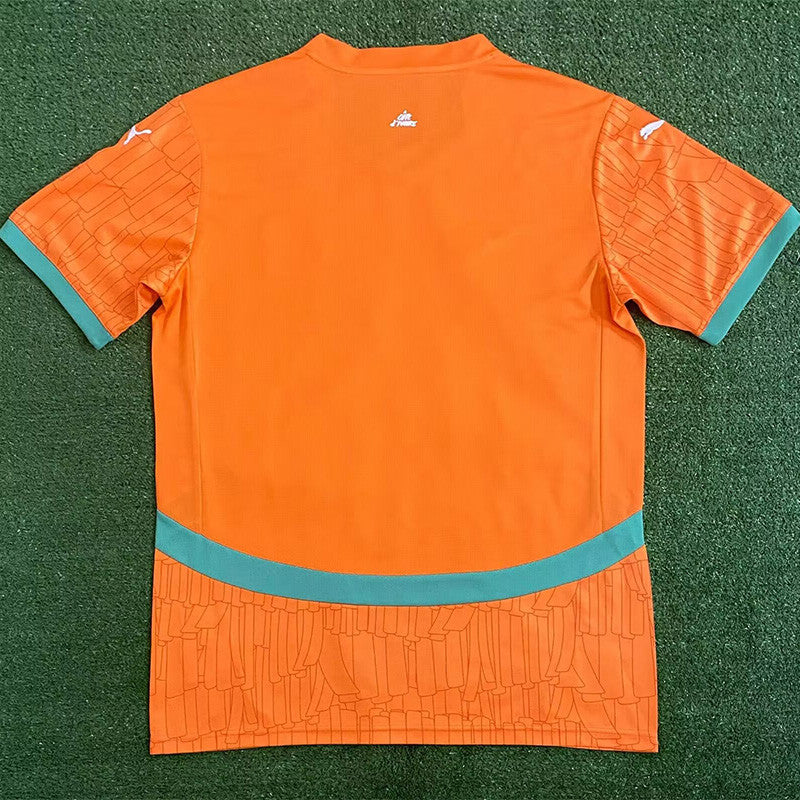 Cote d'ivoire Domicile 25/26 version Fan