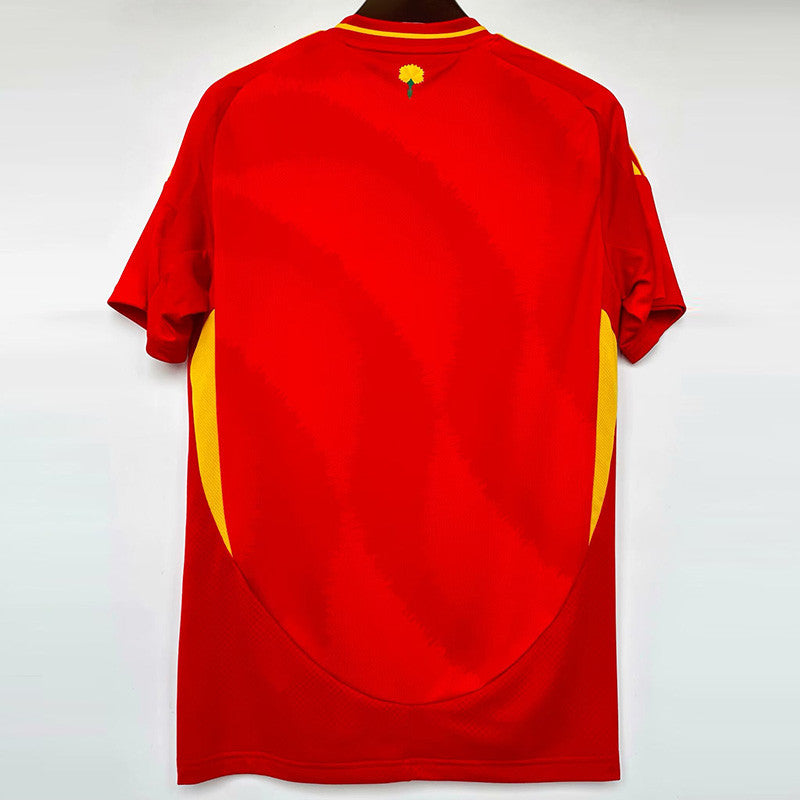 Espagne Domicile 24/25 version Fan